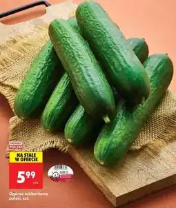 Biedronka Ogórek szklarniowy polski , szt oferta