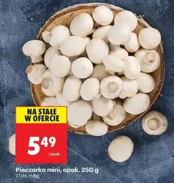 Biedronka Pieczarka mini opak . 250 g oferta