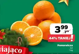 Netto Pomarańcza oferta
