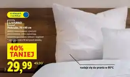 Lidl Poduszka oferta