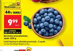Biedronka Borówka amerykańska oferta