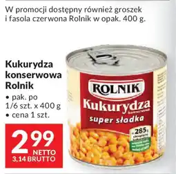 Makro Kukurydza konserwowa Rolnik oferta