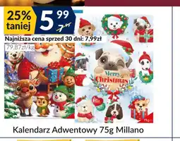 Sużyw Kalendarz adwentowy Millano oferta