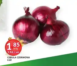 Eurocash Cash & Carry Cebula czerwona oferta
