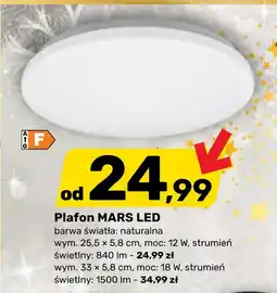 Bricomarche Plafon Barwa Naturalna oferta