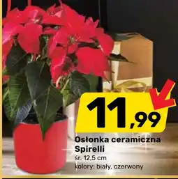 Bricomarche Osłonka oferta