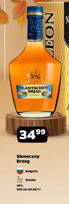 Netto Brandy Słoneczny Brzeg oferta
