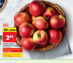 Biedronka Jabłko oferta