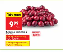 Biedronka Zurawina oferta