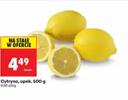 Biedronka Cytryna oferta