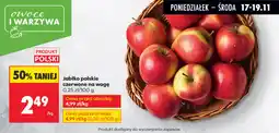 Biedronka Jabłko polskie czerwone oferta