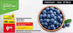 Biedronka Borówka amerykańska oferta