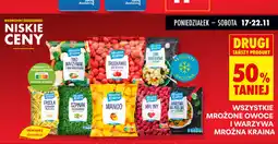Biedronka Mrożone owoce i warzywa mroźna kraina oferta