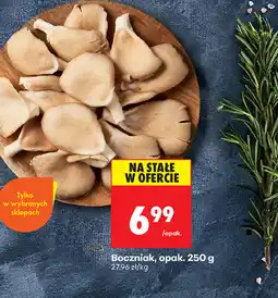 Biedronka Boczniak oferta