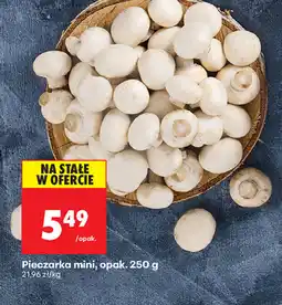 Biedronka Pieczarka mini oferta