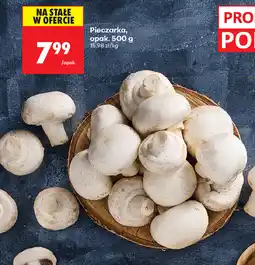 Biedronka Pieczarka oferta