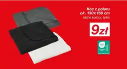 KiK Koc z polaru oferta