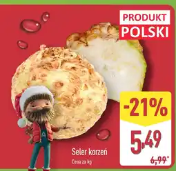 ALDI Seler korzeń Aldi oferta