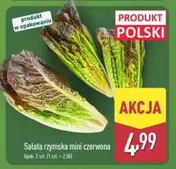 ALDI Sałata rzymska mini czerwona Aldi oferta