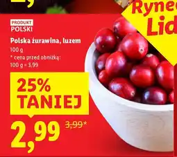 Lidl Polska żurawina luzem Lidl oferta