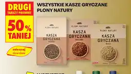 Biedronka Kasza Gryczana oferta