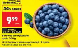 Biedronka Borówka amerykańska Biedronka oferta