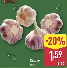 ALDI Czosnek oferta