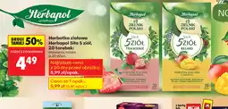 Biedronka Herbatka ziołowa Herbapol Siła & ziół oferta