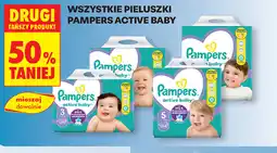 Biedronka Pampers oferta