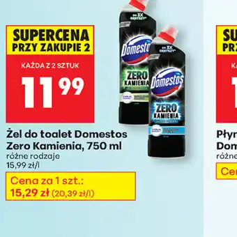 Zel do toalet Domestos