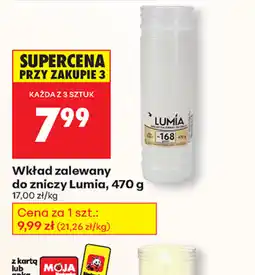 Biedronka Wkład zalewany do zniczy Lumia oferta