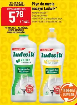 Polomarket Płyn do mycia naczyń Ludwik (miętowy/cytrynowy) oferta