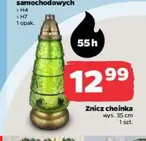 Netto Znicz choinka 35 cm oferta