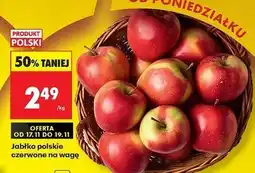 Biedronka Jabłka polskie czerwone na wagę oferta