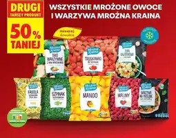 Biedronka Wszystkie mrożone owoce i warzywa Mroźna Kraina oferta