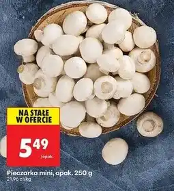 Biedronka Pieczarka mini, opak. 250g oferta