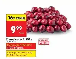 Biedronka Żurawina, opak. 250g oferta