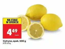 Biedronka Cytryna, opak. 500g oferta