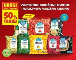 Biedronka Warzywa na patelnie po włosku Mroźna Kraina oferta