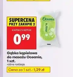 Biedronka Gąbka do kapieli i masażu Ocean oferta