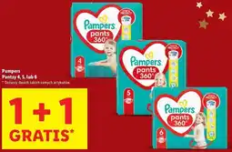 Lidl Pantsy Pampers 4, 5, 6 oferta