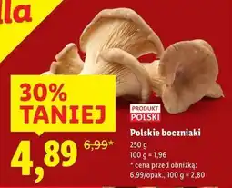 Lidl Boczniaki oferta