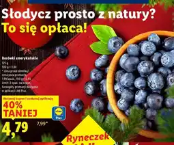 Lidl Borówka amerykańska oferta