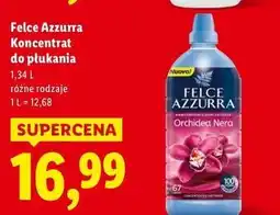 Lidl Koncentrat do płukania orchidea nera Felce Azzurra oferta