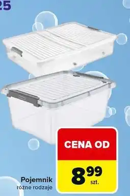 Carrefour Pojemnik plastikowy oferta