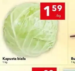 Lewiatan Kapusta biała oferta