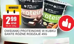 Bingo Owsianki Proteinowe Sante oferta