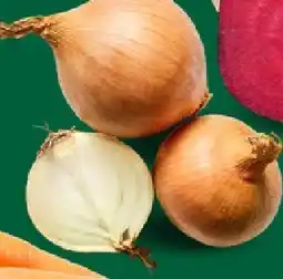 Netto Cebula Netto oferta