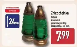 ALDI Znicz choinka oferta