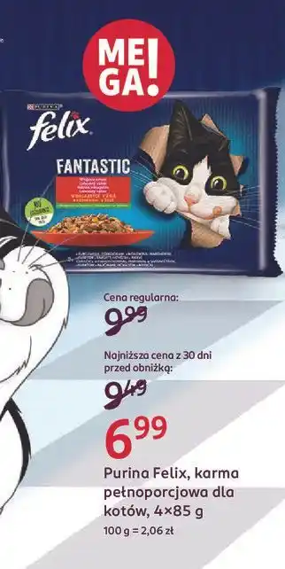 Karma dla kota wołowina i kurczak Purina Felix Fantastic